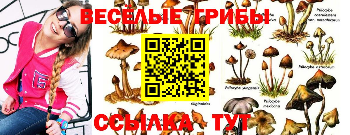 Псилоцибиновые грибы мухоморы  Вход с VPN  Ковров 