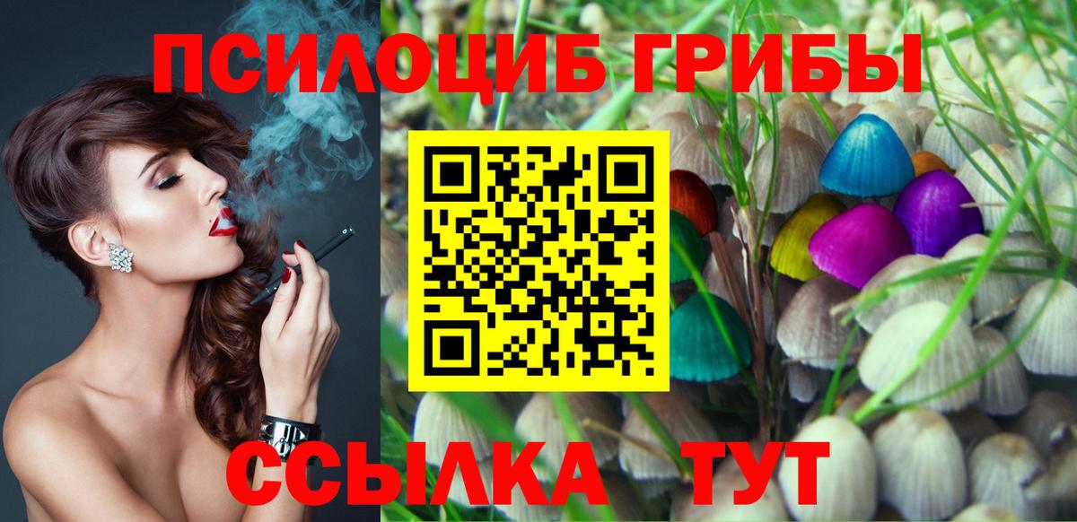 Псилоцибиновые грибы прущие грибы Ковров